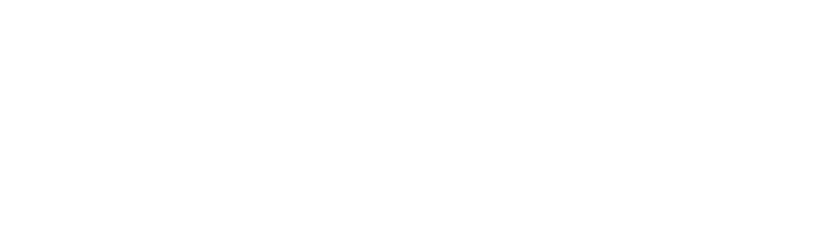 simac PHI DATA